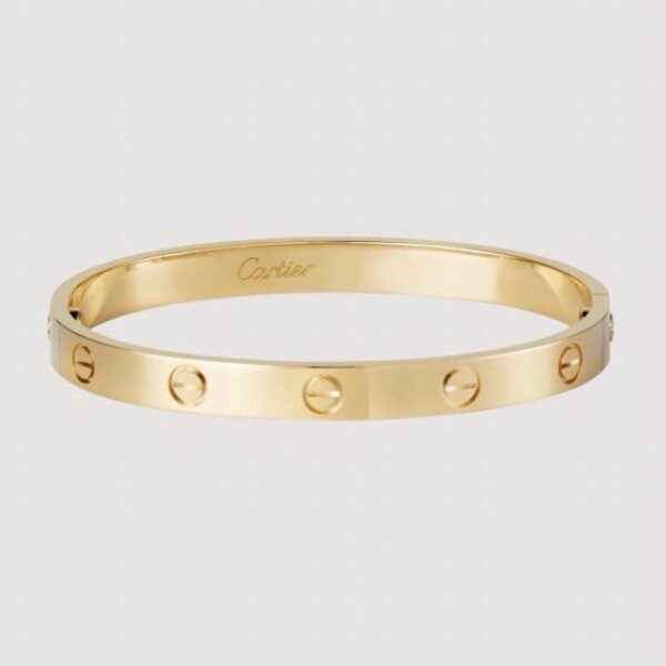 Cartier Bracelet (Gold / Silver)